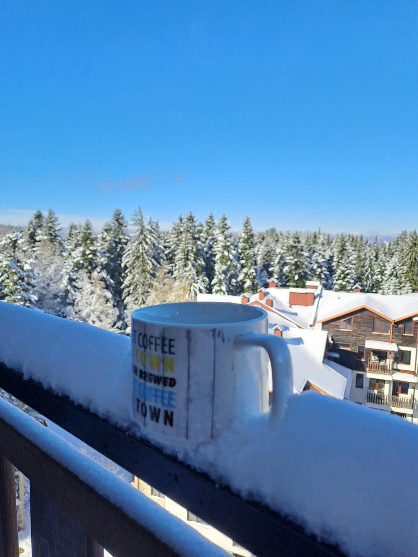 Premium Apartment In Borovets Gardens Complex 外观 照片